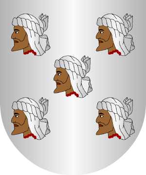 ESCUDO SIGUIENTE